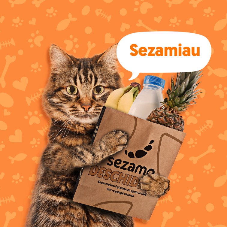 Cum recrutezi și păstrezi talente într-o piață competitivă